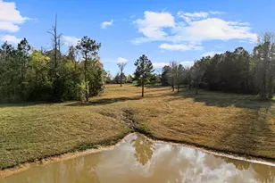 11554 Fm 1649, Ore City, TX 75683 - Photo 17