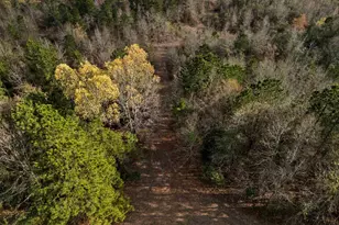 11554 Fm 1649, Ore City, TX 75683 - Photo 23