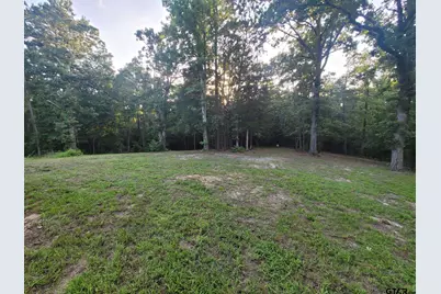 1363 Cr 4530, Winnsboro, TX 75494 - Photo 43