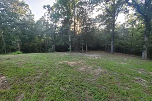 1363 Co Rd 4530, Winnsboro, TX 75494 - Photo 43