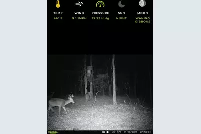1363 Cr 4530, Winnsboro, TX 75494 - Photo 47