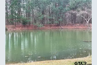 18059 County Road 2142, Troup, TX 75789 - Photo 47
