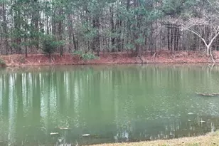 18059 County Rd 2142, Troup, TX 75789 - Photo 47