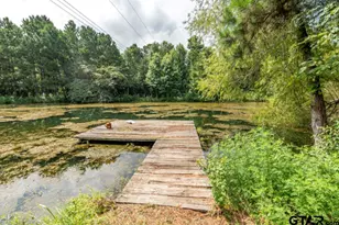 18059 County Rd 2142, Troup, TX 75789 - Photo 13