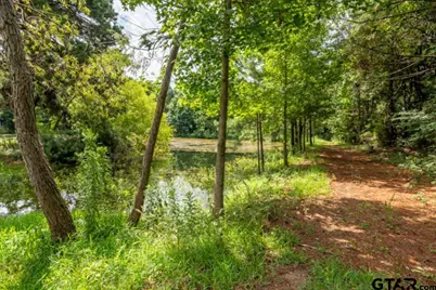 18059 County Road 2142, Troup, TX 75789 - Photo 13