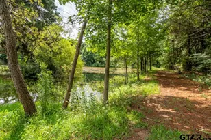 18059 County Rd 2142, Troup, TX 75789 - Photo 13