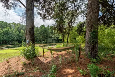 18059 County Road 2142, Troup, TX 75789 - Photo 15