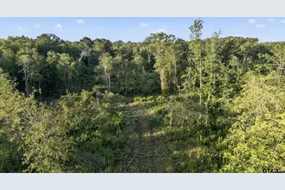 Tbd 21 Acres Cr 3116, Winona, TX 75792 - Photo 3