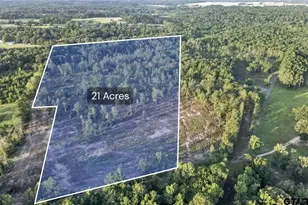 Tbd 21 Acres Cr 3116, Winona, TX 75792 - Photo 1