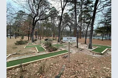 197 Holly Hill Circle #G223, Holly Lake Ranch, TX 75765 - Photo 33