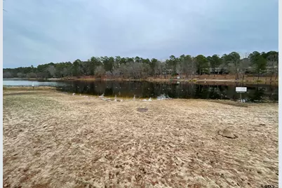 197 Holly Hill Circle #G223, Holly Lake Ranch, TX 75765 - Photo 29