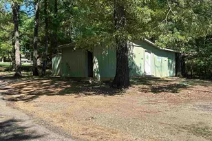 61 Pr 52436, Pittsburg, TX 75686 - Photo 39