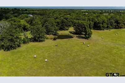 Tbd Fm 773, Murchison, TX 75778 - Photo 5
