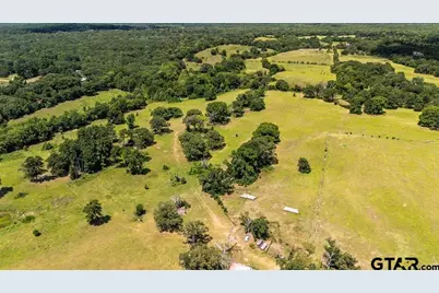Tbd Fm 773, Murchison, TX 75778 - Photo 17