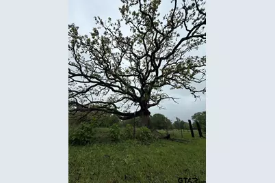 Tbd Fm 773, Murchison, TX 75778 - Photo 27