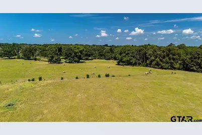 Tbd Fm 773, Murchison, TX 75778 - Photo 3