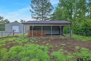 1408 Pine Wilderness Dr, Queen City, TX 75572 - Photo 43