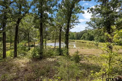 1522 Fm 17, Grand Saline, TX 75140 - Photo 39