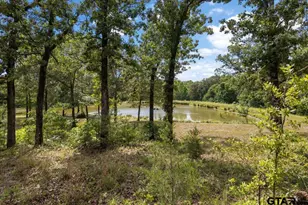 1522 FM 17, Grand Saline, TX 75140 - Photo 39