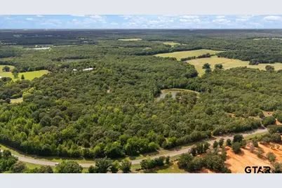 1522 Fm 17, Grand Saline, TX 75140 - Photo 47