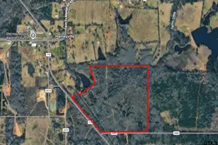 Tbd S Fm 778 / Cr 3880, Mineola, TX 75773 - Photo 1