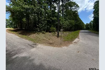 Tbd Cr 4556, Winnsboro, TX 75494 - Photo 1
