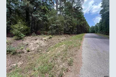 Tbd Cr 4556, Winnsboro, TX 75494 - Photo 3
