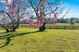 11992 W Cr 4233, Cushing, TX 75760 - Photo 29