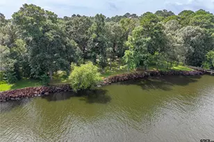 20862 Bay Shore Dr, Flint, TX 75762 - Photo 7