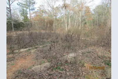 6110 Fm 314, LaRue, TX 75770 - Photo 5