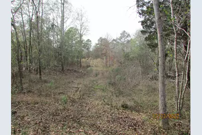 6110 Fm 314, LaRue, TX 75770 - Photo 1