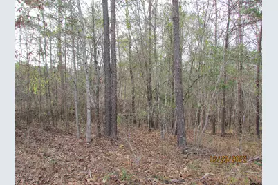 6110 Fm 314, LaRue, TX 75770 - Photo 3