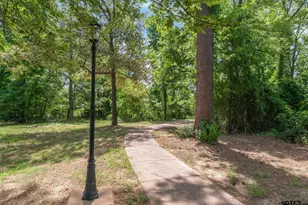 15381 County Rd 463, Lindale, TX 75771 - Photo 39