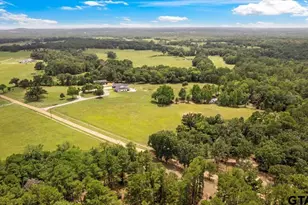 13711 Co Rd 3512, Brownsboro, TX 75756 - Photo 43