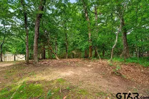 18706 Quiet Anchor Ln, Flint, TX 75762 - Photo 31