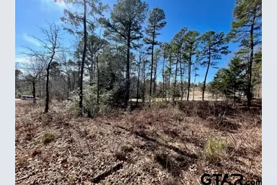 Lot 10 Cr 3545, Hawkins, TX 75765 - Photo 7