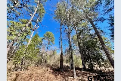 Lot 10 Cr 3545, Hawkins, TX 75765 - Photo 3