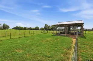 121 Pr 4078, Gilmer, TX 75644 - Photo 25