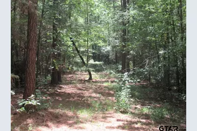 16.12 Ac Fm 757, Winona, TX 75792 - Photo 13