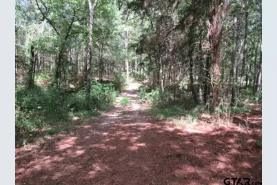 16.12 Ac Fm 757, Winona, TX 75792 - Photo 5