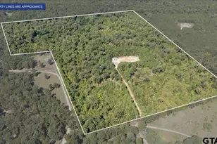 21930 County Rd 2155, Troup, TX 75789 - Photo 1