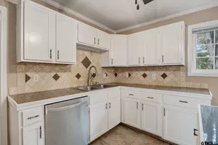 13438 Cr 2278 (Mosley Lane), Tyler, TX 75707 - Photo 13