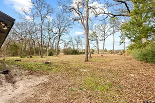 289 Private Rd 7819, Hawkins, TX 75765 - Photo 27