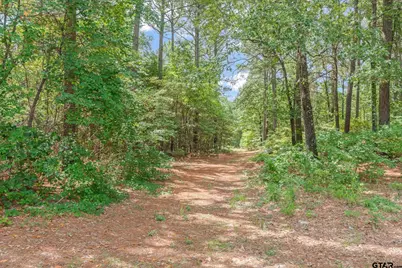 23340 Fm 1253, Mineola, TX 75773 - Photo 29