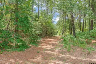 23340 Fm 1253, Mineola, TX 75773 - Photo 21