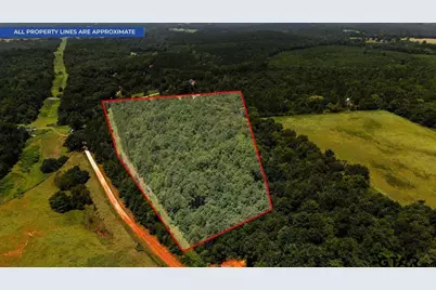 639 County Road 3322, Jacksonville, TX 75766 - Photo 5