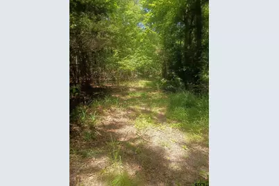 Tbd County Road 1708, Jacksonville, TX 75766 - Photo 9