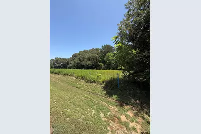 194 Cr 3802A, Bullard, TX 75757 - Photo 3