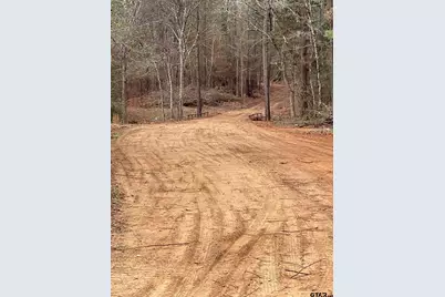 405 Acres Off Watson Rd, Kilgore, TX 75662 - Photo 3