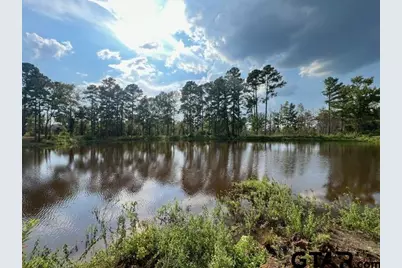 45 Acre Off Watson Rd, Kilgore, TX 75662 - Photo 13